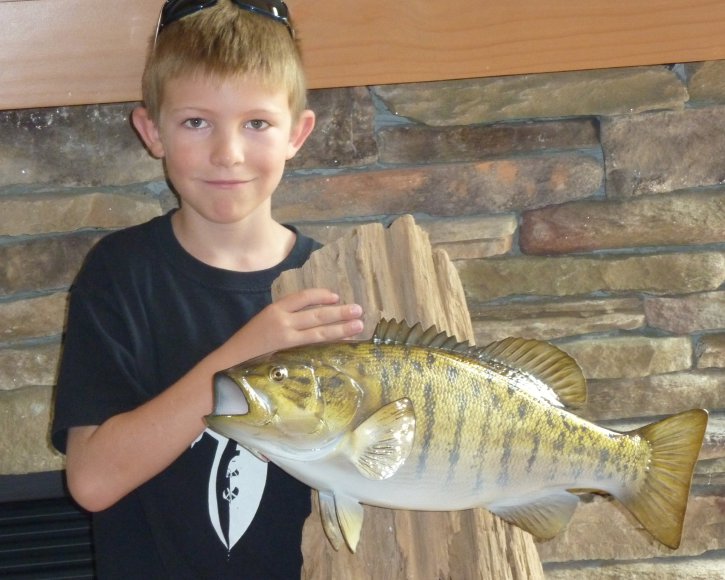 Smallmouth bass from Gray Taxidermy