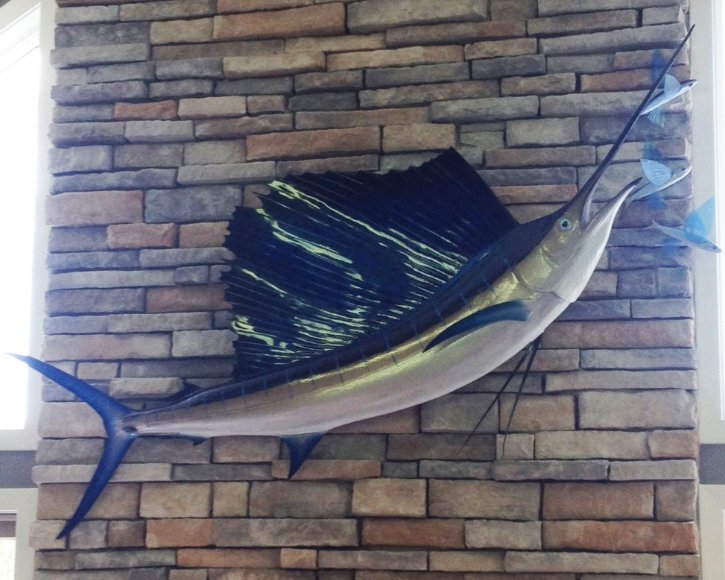 Sailfish mount from Gray Taxidermy on fire place