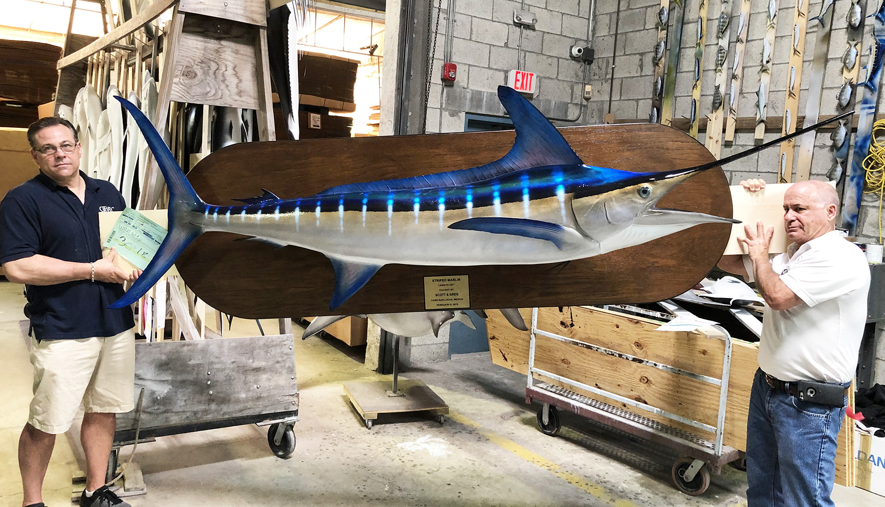 Striped Marlin Fishmount on wood plaque