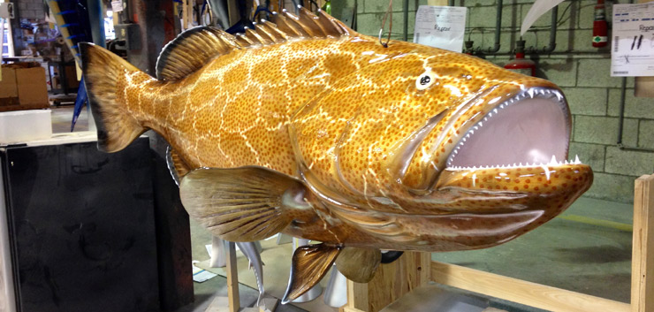 Black Grouper Fish Replica close up