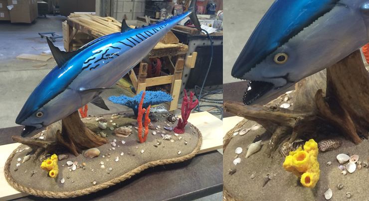 Bonito fish mount on custom base