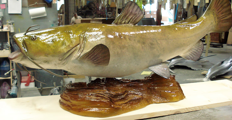 Flathead Catfish Fishmount on wood plaque