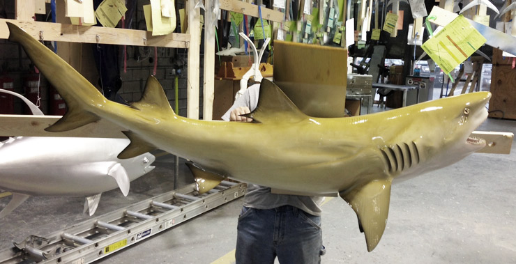 Lemon Shark trophy mount