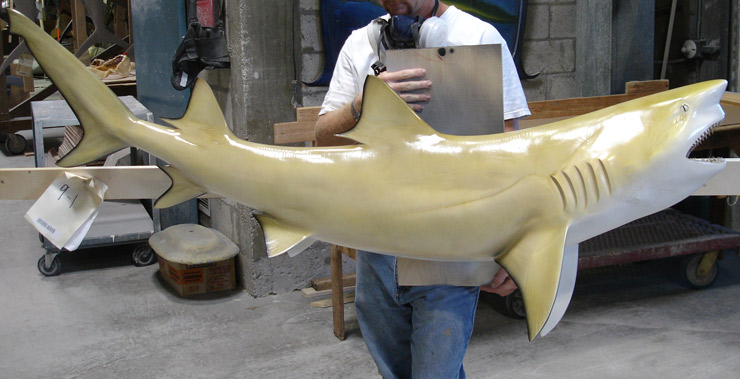 Lemon Shark reproduction