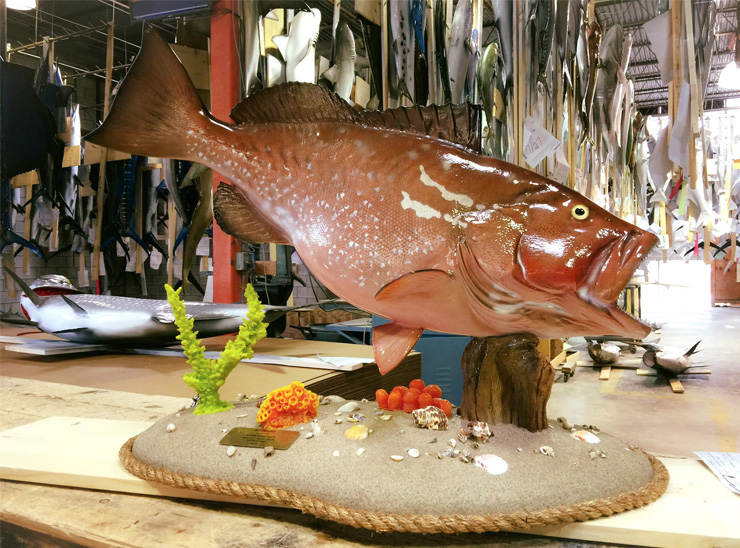 Red Grouper fishmount on a custom base