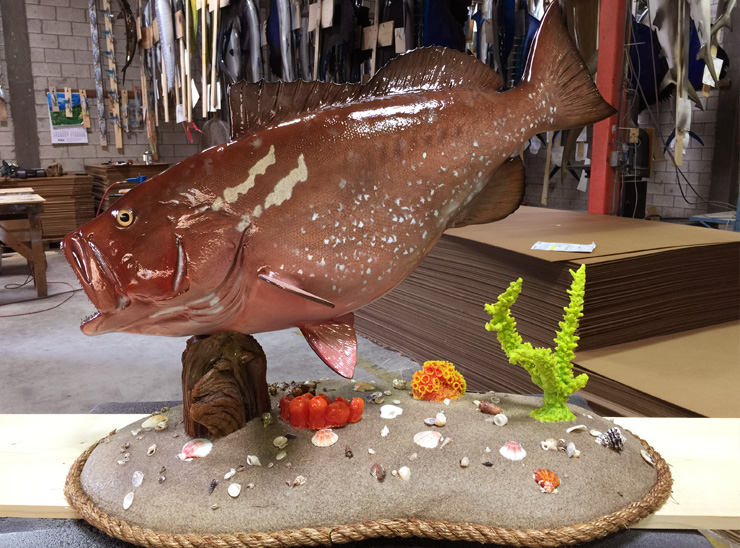 Red Grouper fishmount on a custom base