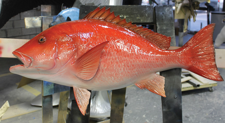 Red Snapper mount 