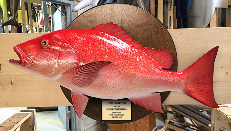 Red Snapper mount on wood plaque