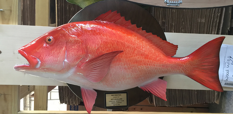 Red Snapper on a wood plaque