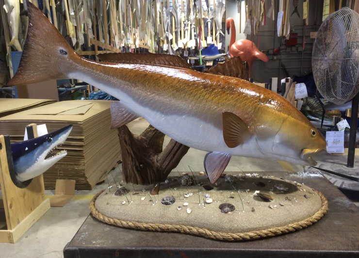 Redfish mount on custom base