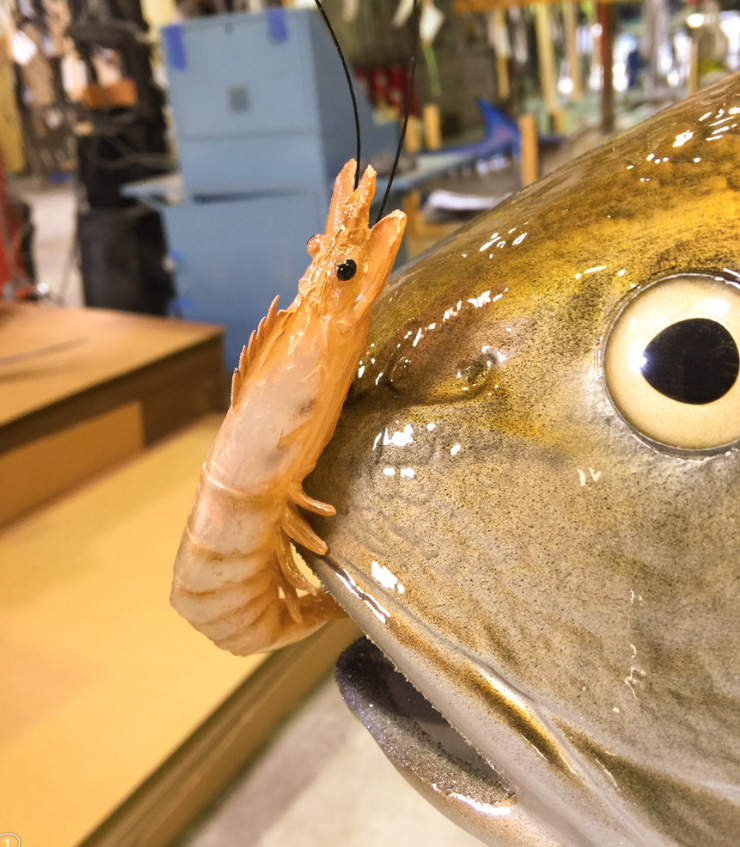 Custom Redfish mount closeup at Gray Taxidermy