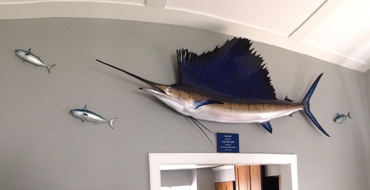 Atlantic Sailfish replica customer