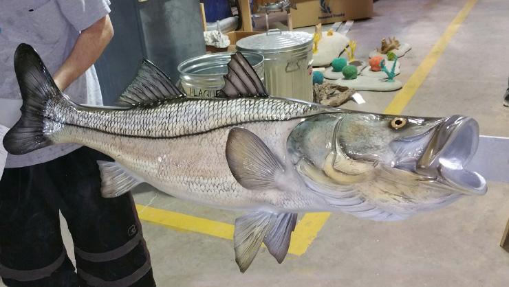 Custom Snook fish mount closeup