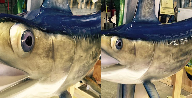 Swordfish mount at Gray Taxidermy