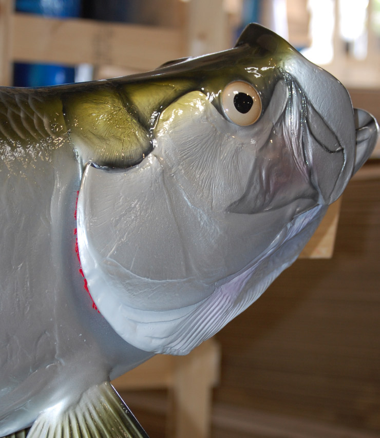 Tarpon fish mount on custom wood panel