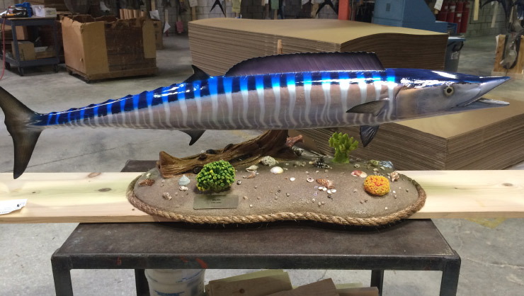 Wahoo fish mount on custombase