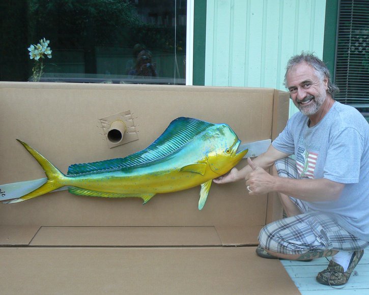 Dorado/Mahi from Gray Taxidermy