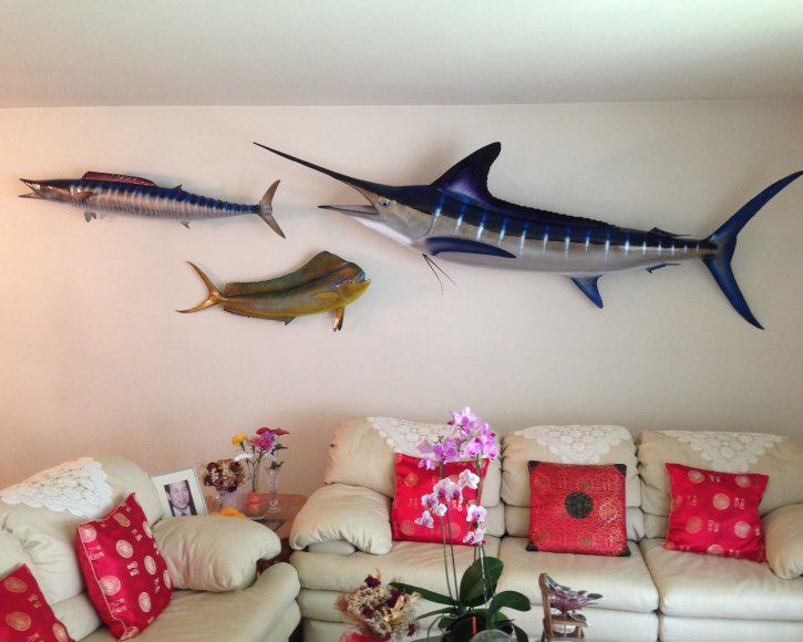 Fishmount trohoy wall from Gray Taxidermy