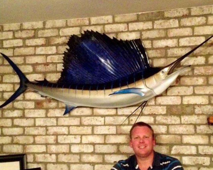 Sailfish from Gray Taxidermy on brick wall