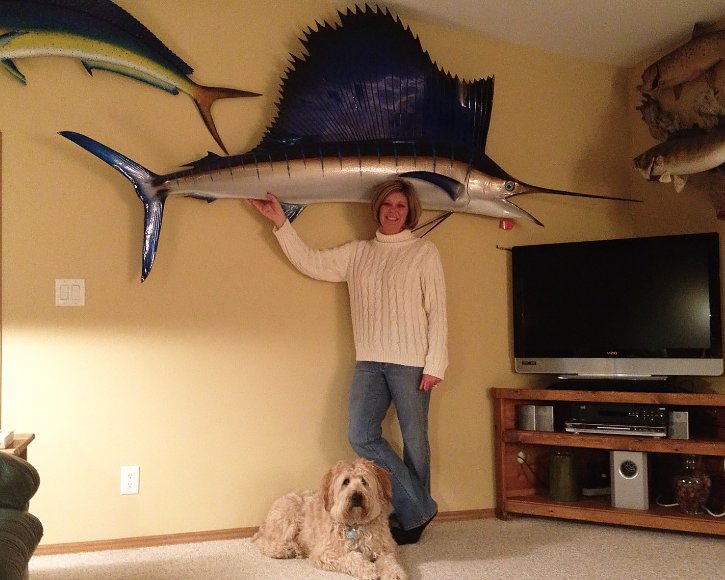 Sailfish from Gray Taxidermy