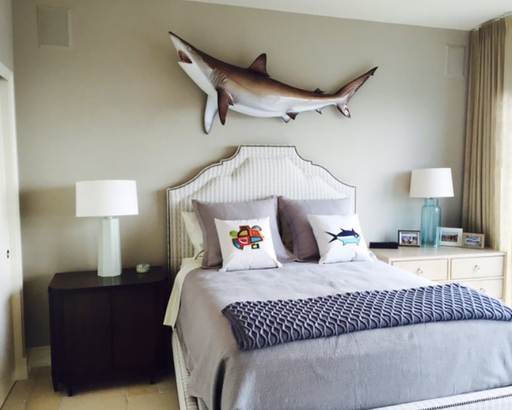 Silky shark from Gray Taxidermy in bedroom 