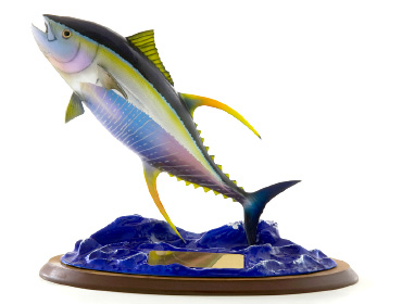Yellowfin Tuna 1st Place Trophy