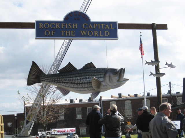 16 ft rockfish