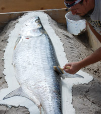 Fish mold